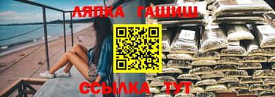 spice Камышлов