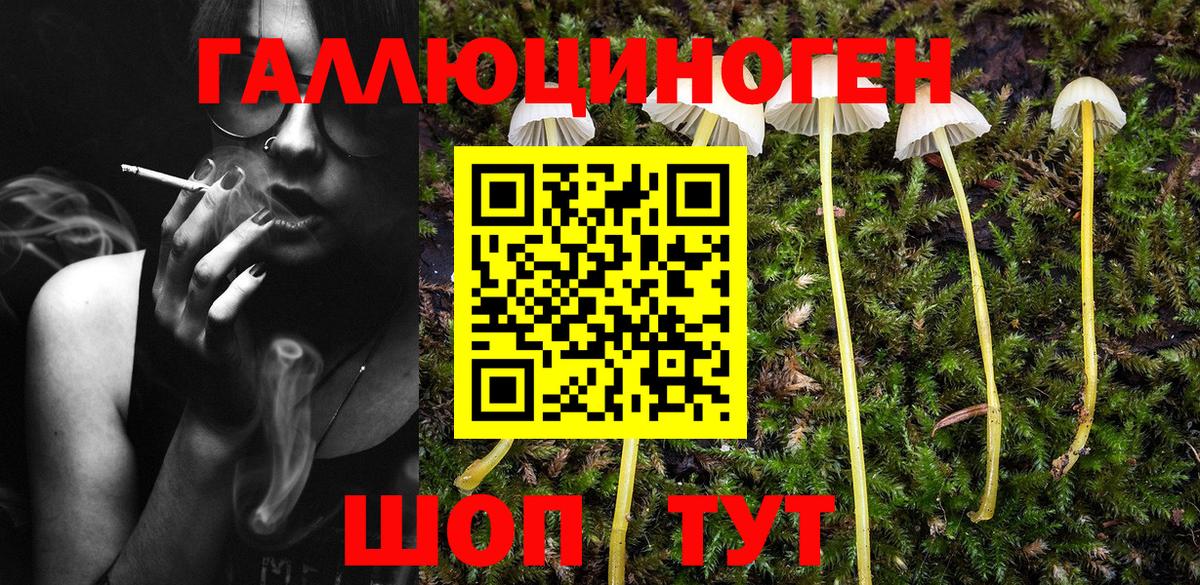 Псилоцибиновые грибы прущие грибы Луга