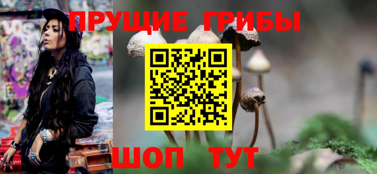 Псилоцибиновые грибы мицелий  Вход с VPN  купить   Луга 